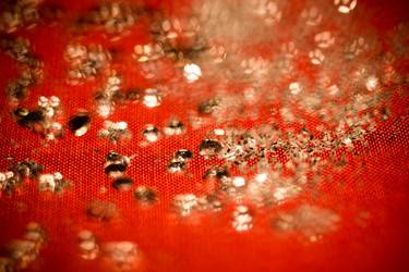 Similar image 8468577