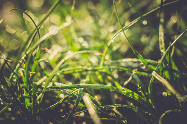 Similar image 8468587