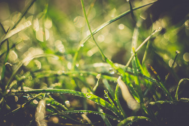 Similar image 8468588