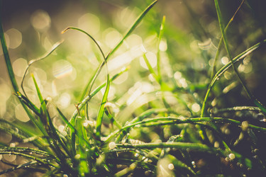 Similar image 8468589