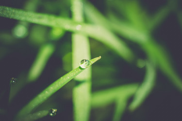 Similar image 8468590