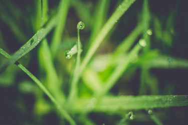 Similar image 8468591