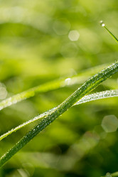 Similar image 8468596