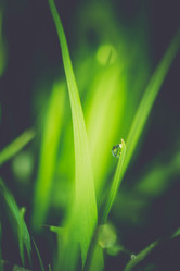 Similar image 8468599