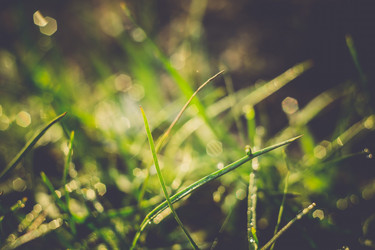 Similar image 8468600