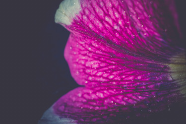 Similar image 8468611