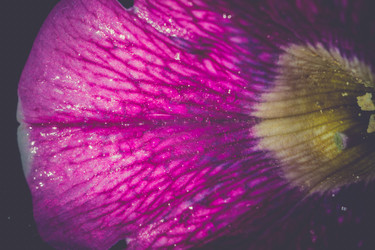 Similar image 8468612