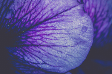 Similar image 8468614