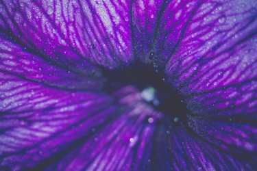 Similar image 8468615