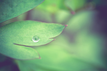 Similar image 8468633