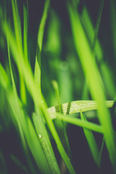 Similar image 8468643