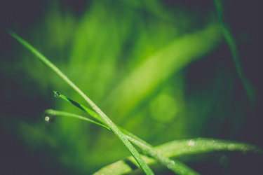 Similar image 8468644