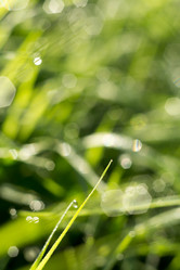 Similar image 8468646