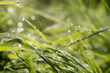 Similar image 8468648