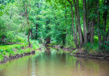 Similar image 8468652