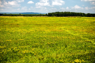 Similar image 8468656