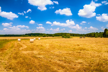 Similar image 8468663