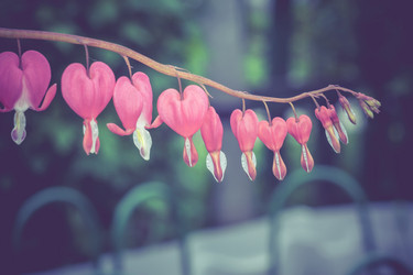 Similar image 8468669