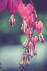 Similar image 8468670