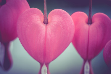 Similar image 8468671