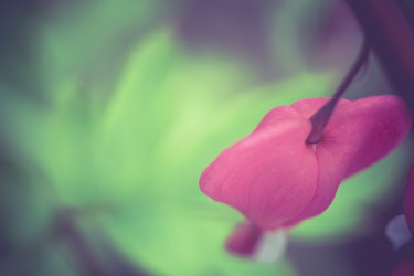 Similar image 8468673