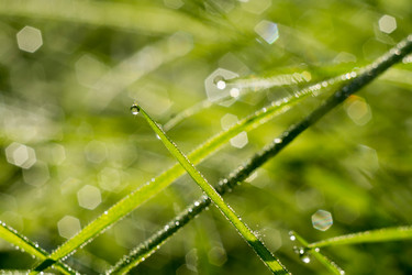 Similar image 8468686