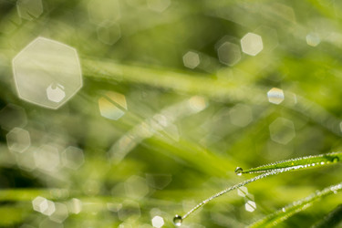 Similar image 8468689