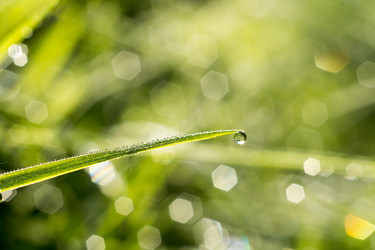 Similar image 8468692