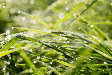 Similar image 8468698