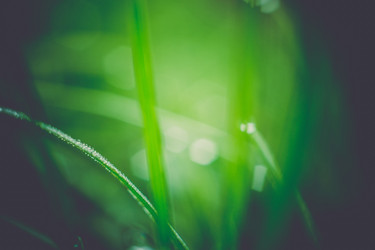 Similar image 8468700