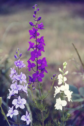 Similar image 8468795