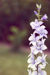 Similar image 8468869