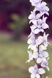 Similar image 8468870