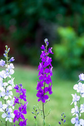 Similar image 8468873