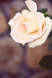 Similar image 8468874