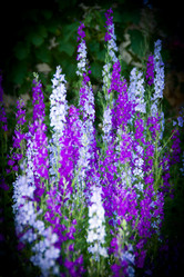 Similar image 8468929