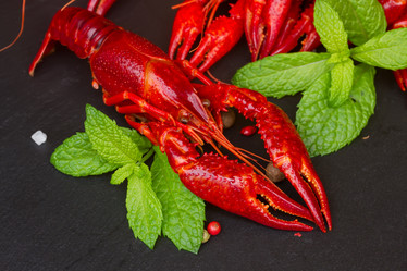 Similar image 8468941