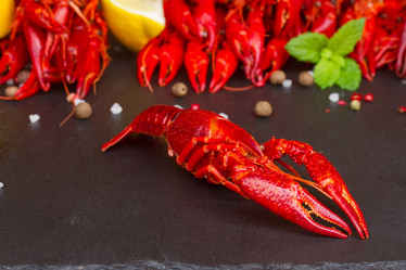 Similar image 8468949