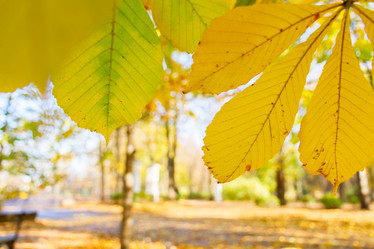 Similar image 8468969