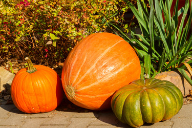 Similar image 8468974