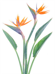 Similar image 8468976