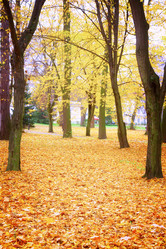 Similar image 8468977