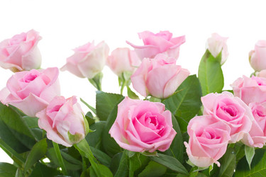 Similar image 8469000