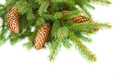 Similar image 8469041