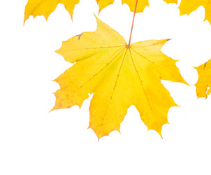 Similar image 8469060