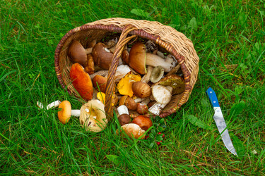 Similar image 8469067