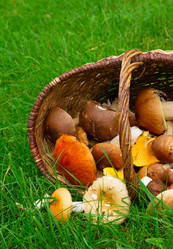 Similar image 8469069