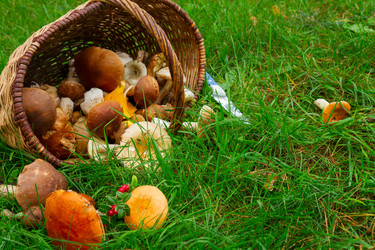 Similar image 8469071