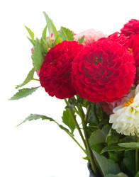 Similar image 8469301