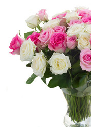 Similar image 8469306